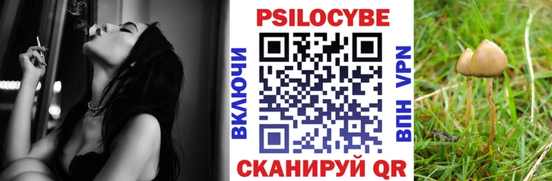 сколько стоит  ссылка на мегу онион  это как зайти  Чита  Псилоцибиновые грибы Psilocybine cubensis 