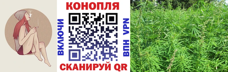 как найти закладки  Чита  Бошки марихуана OG Kush 